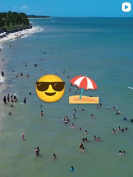 Praia de águas calmas vista de cima